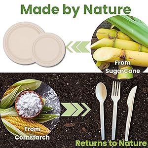 From Sugarcane and cornstarch