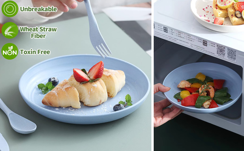 Reusable Large Plates Set of 4