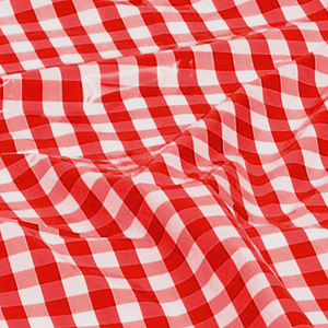 durony 146 Piece Red and White Plaid Gingham Party Supplies Tableware Set