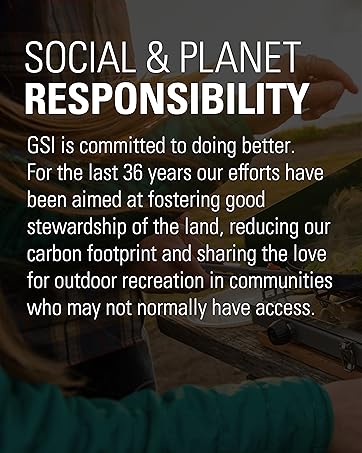 GSI is committed to doing better. 