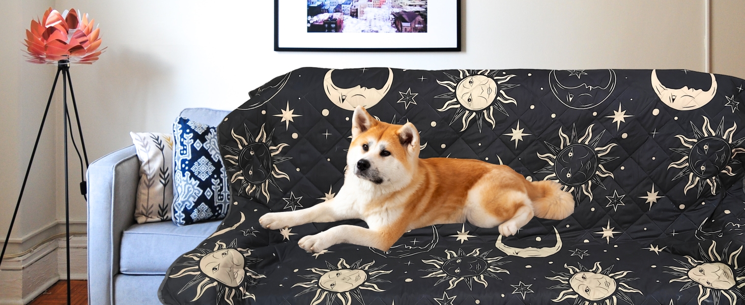 it is a pet mat