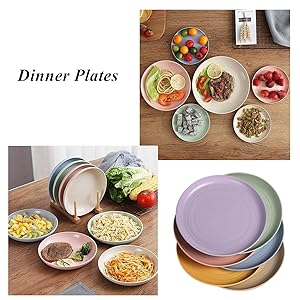 Plate