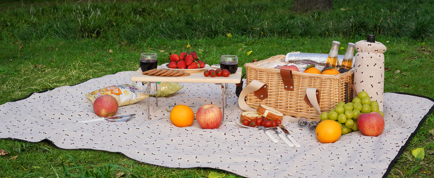 picnic basket set for 2