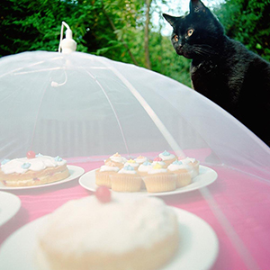 Food Covers Tent