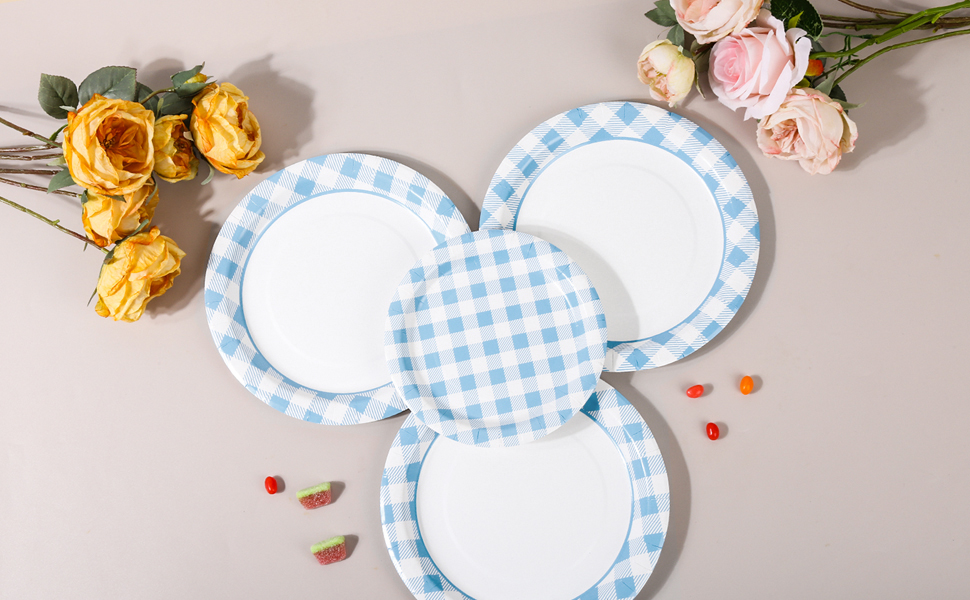 Blue Gingham Paper Plates and Napkins