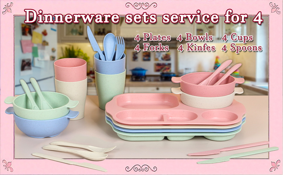 Reusable Dinner Plates