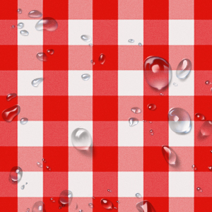 durony 146 Piece Red and White Plaid Gingham Party Supplies Tableware Set