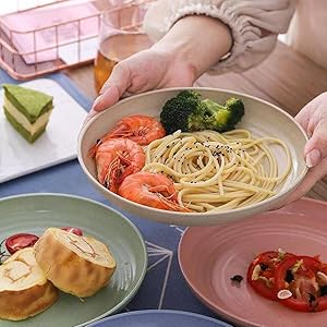 Unbreakable Wheat Straw Plates 9 inch