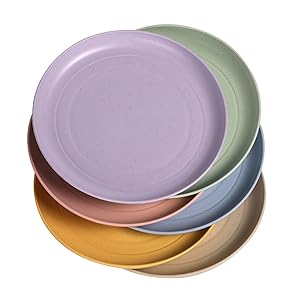 Dinner Plates