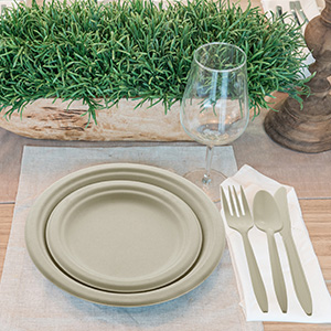 dispossable plates set