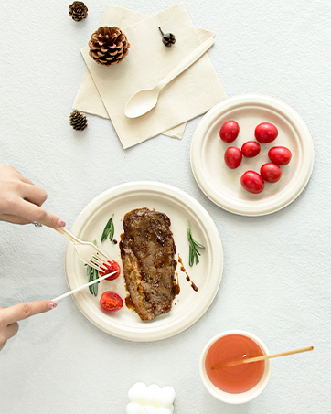 disposable plates
