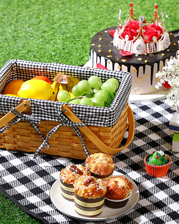 Large Picnic Blankets