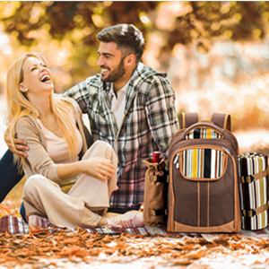 Insulated Cooler picnic Bag