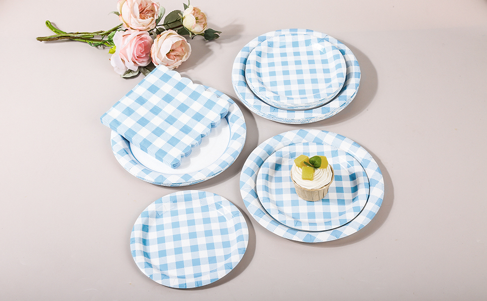 Blue Gingham Paper Plates and Napkins