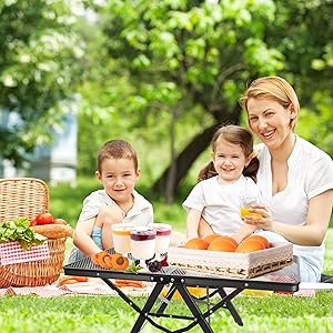 Foldable Grill Table
