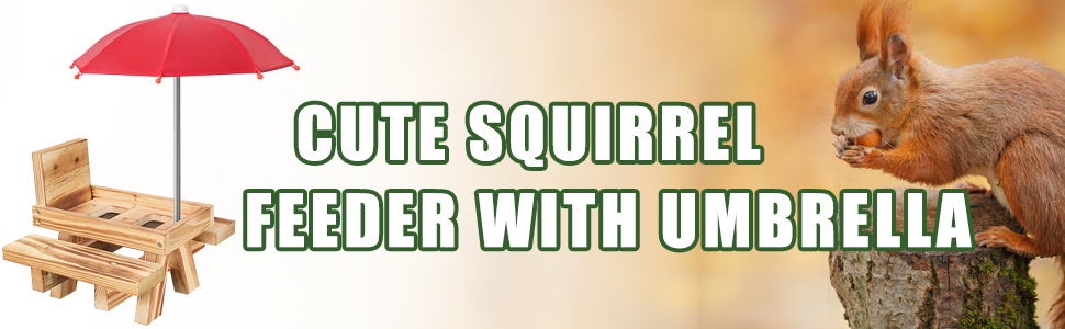 squirrel feeder