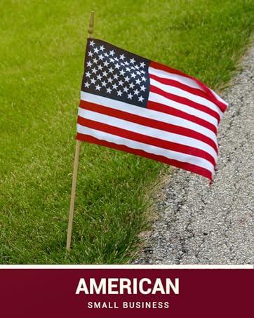 American Small Business