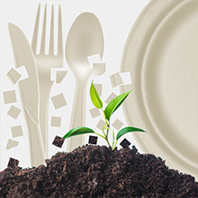 paper plates