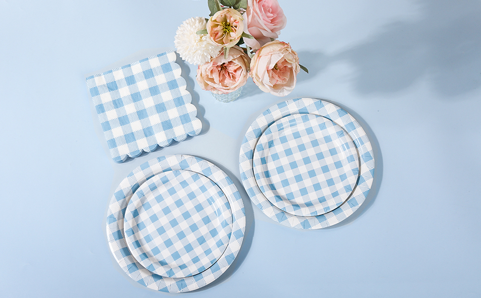 Blue Gingham Paper Plates and Napkins