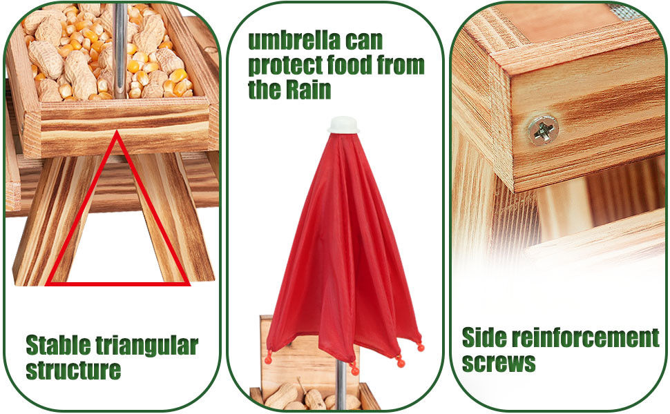 squirrel feeder