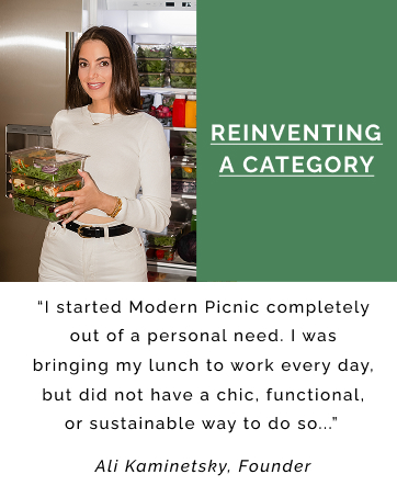Modern Picnic Lunch Bags