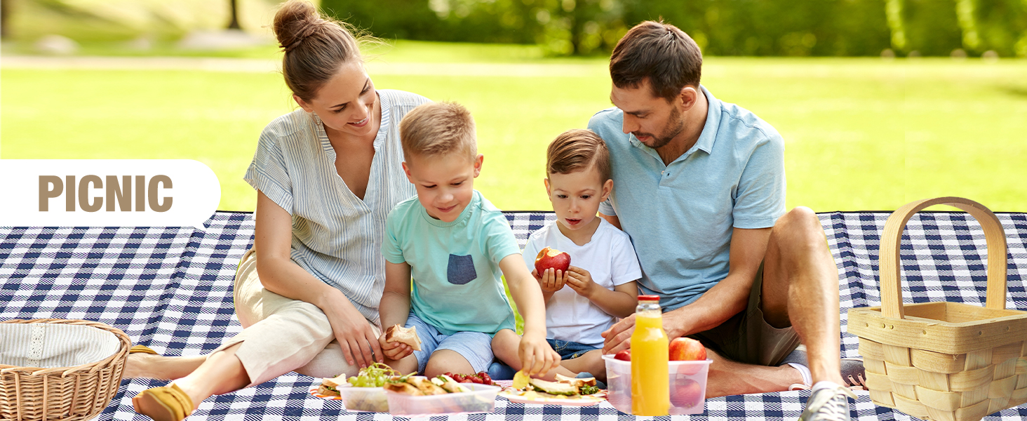 picnic