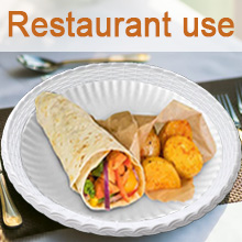 paper plate holders reusable for counter plastic reusable plates paper plate holders 10 inch