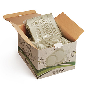 disposable plates for party