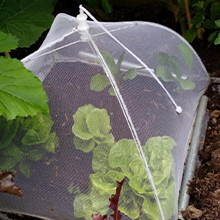 food cover for indoor