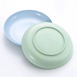 Unbreakable Wheat Straw Plates 9 inch