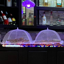 food cover for indoor