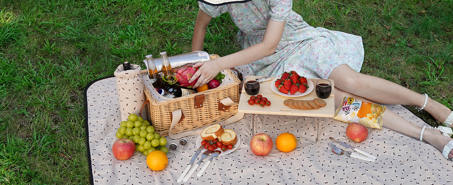picnic basket for 2