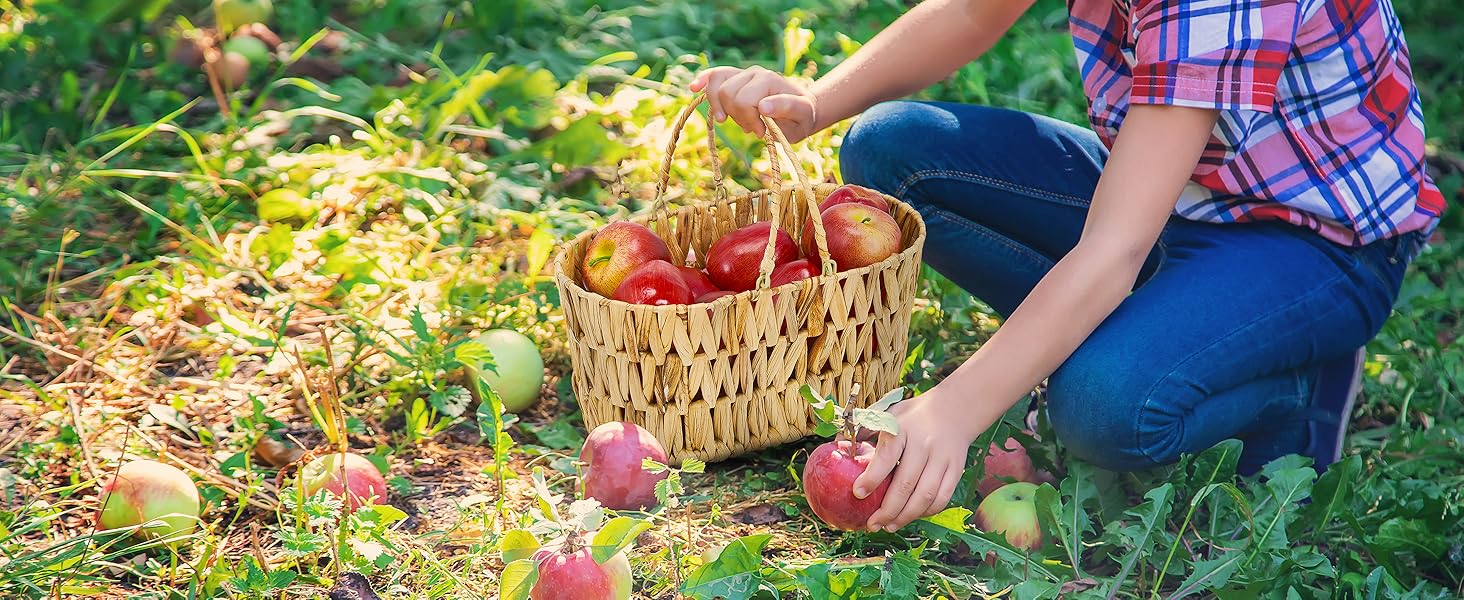 wicker basket