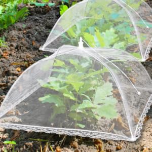 Garden Plant Covers