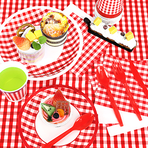 durony 146 Piece Red and White Plaid Gingham Party Supplies Tableware Set