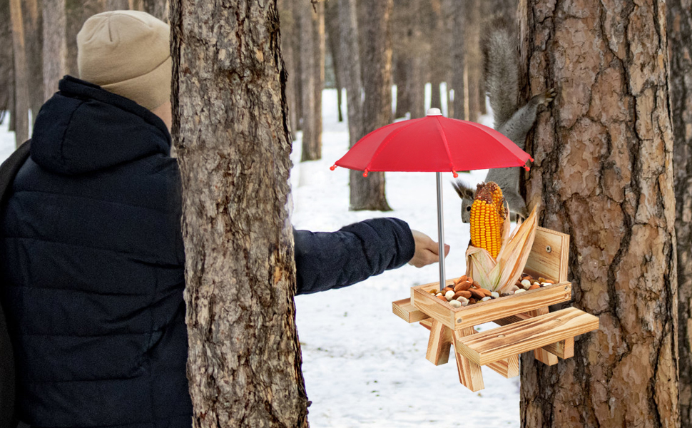 squirrel feeder