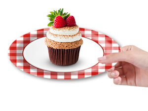 red gingham party supplies