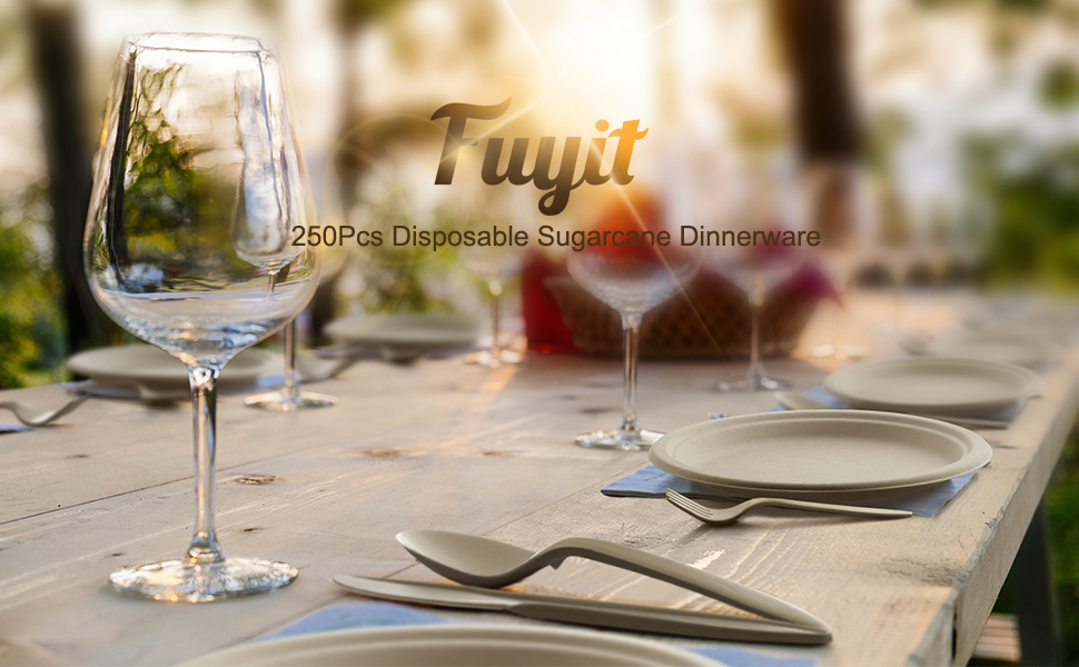 dinnerware
