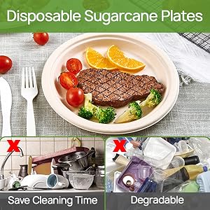 paper plates 9in