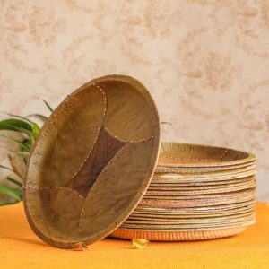Desifavors Disposable Plates - Zero Waste - Sal Palash Leaf Biodegradable Round Dinner Plates Sets - Indian Disposable Plates for Outdoor Festivals, BBQ Party, Picnics -10x10x2 Inch (Pack of 25)