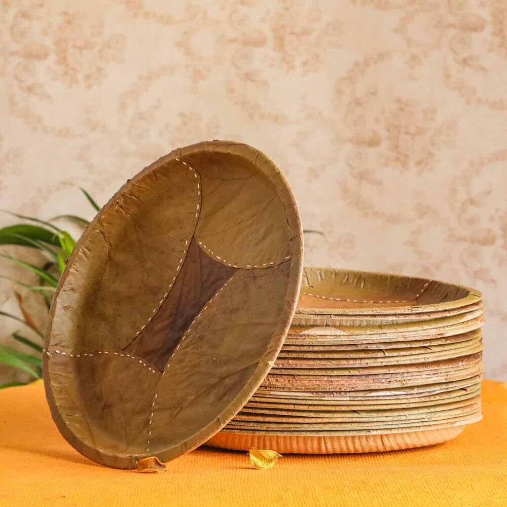 Desifavors Disposable Plates - Zero Waste - Sal Palash Leaf Biodegradable Round Dinner Plates Sets - Indian Disposable Plates for Outdoor Festivals, BBQ Party, Picnics -10x10x2 Inch (Pack of 25)
