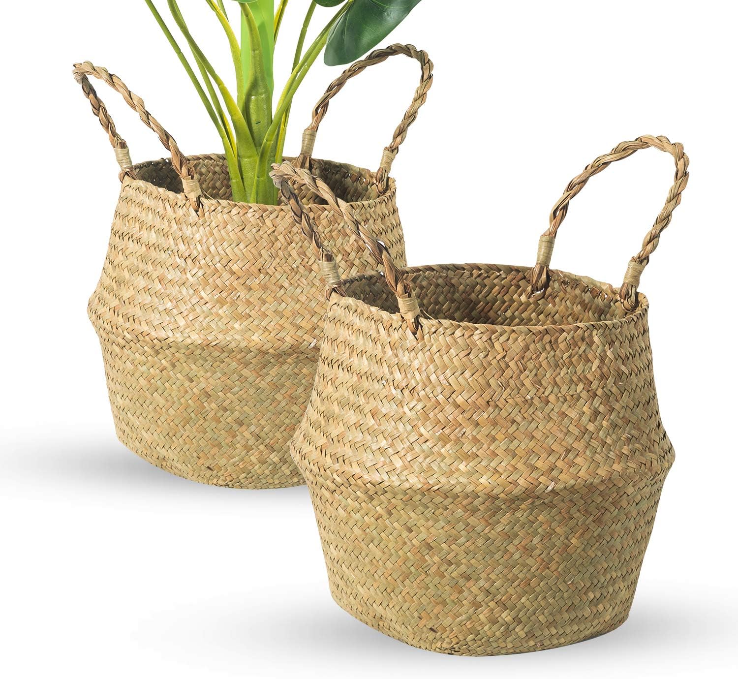 Seagrass Belly Basket, Set of 2 Woven Plant Pot Holder handmade Home Decor for Storage Plants Picnic Grocery Large(12.6 x 11.02 inch)