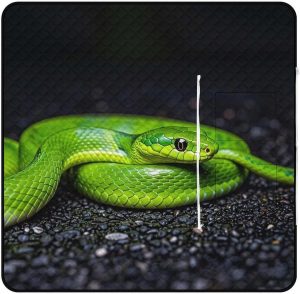 The Green Snake Picnic Blanket with Zippered Tote Bag, Waterproof Portable Outdoor Blanket, Lightweight Foldable Outdoor Mat for Beach, Camping, Park, 150x150cm