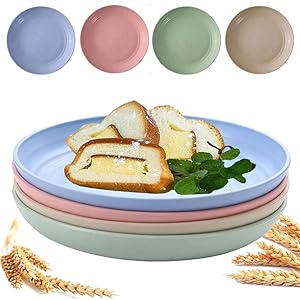 Unbreakable Wheat Straw Plates 9 inch