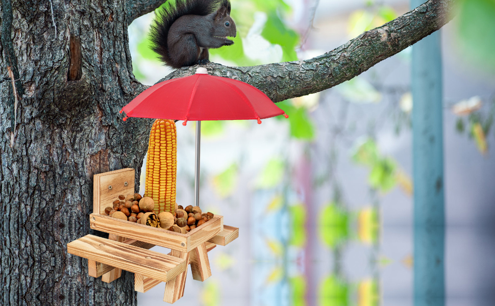 squirrel feeder
