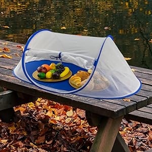 Picnic table pond