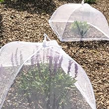 food nets for outdoors