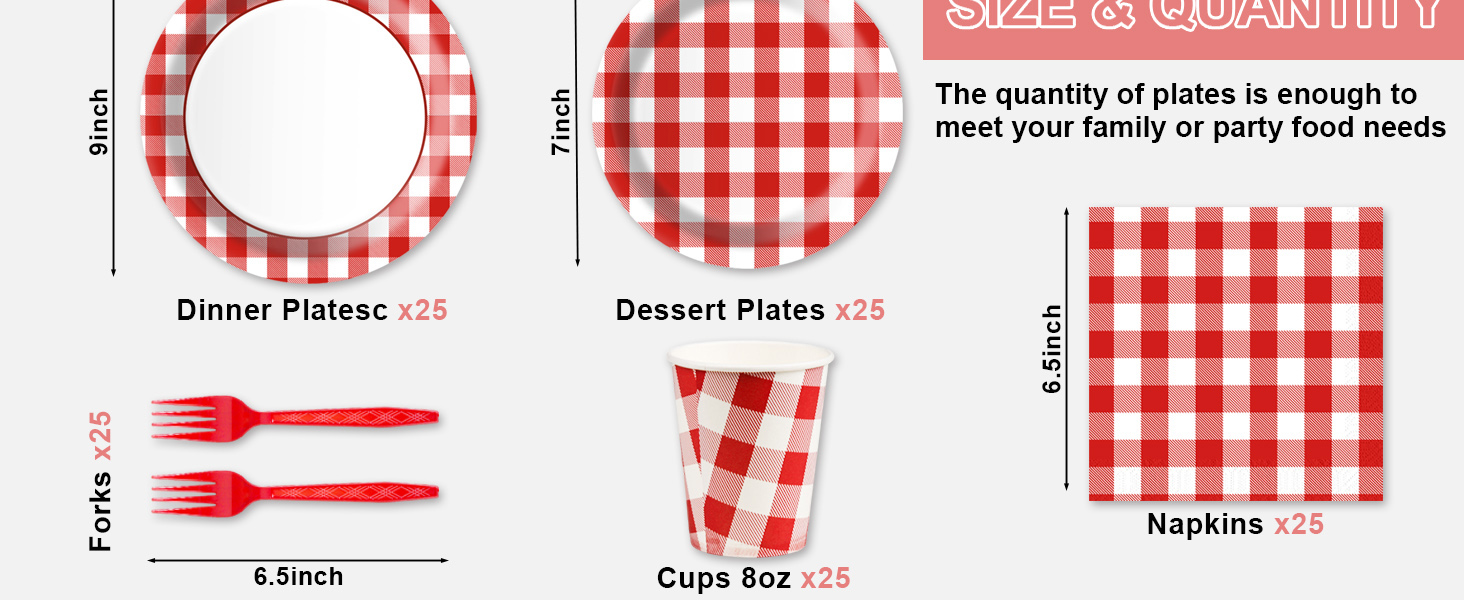 red gingham party supplies