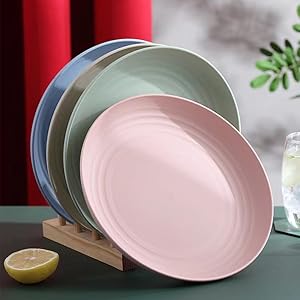 Unbreakable Wheat Straw Plates 9 inch
