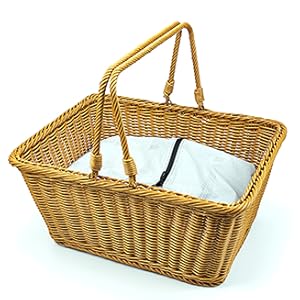 Multiuse storage box